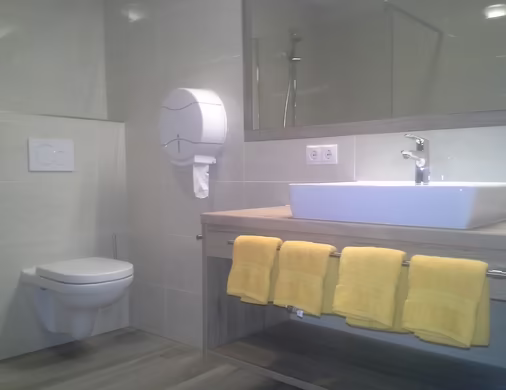 Modernes Badezimmer mit Dusche und WC im Apartment in Tux im Zillertal